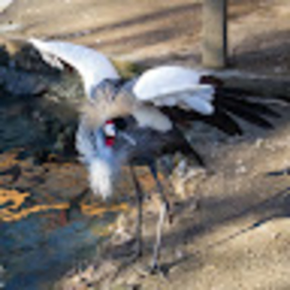 Meet your Posher, Andrew - Picture 1 of 1